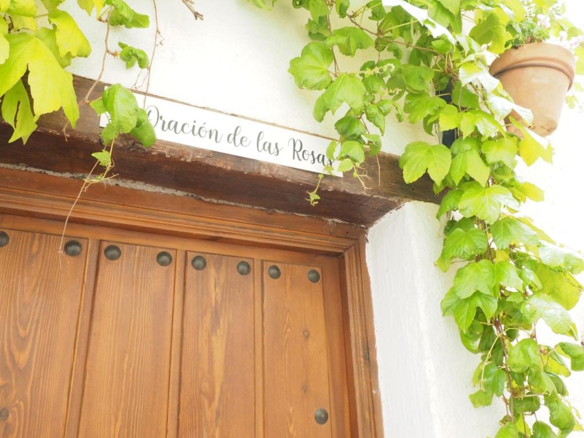 كابيليرا Casa Rural Catifalarga Alpujarra المظهر الخارجي الصورة