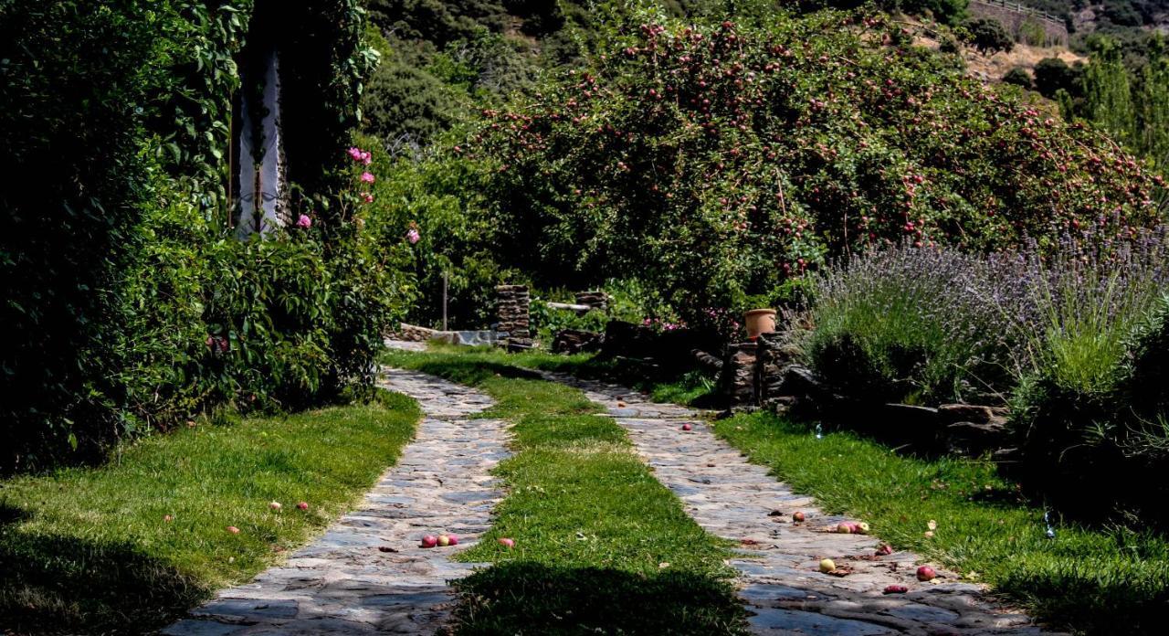 كابيليرا Casa Rural Catifalarga Alpujarra المظهر الخارجي الصورة