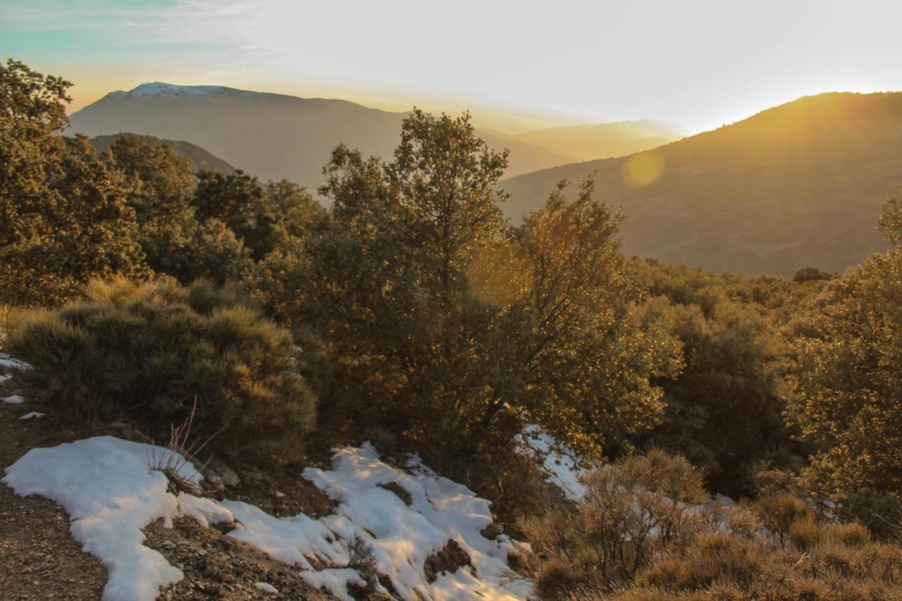 كابيليرا Casa Rural Catifalarga Alpujarra المظهر الخارجي الصورة
